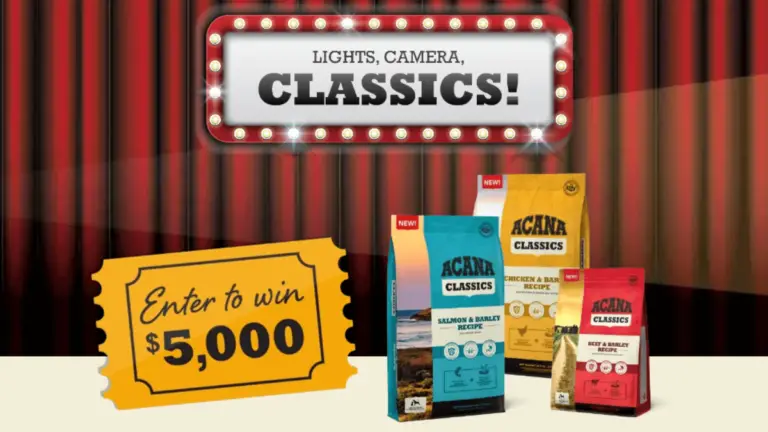 Lights, Camera, Classics Sweepstakes