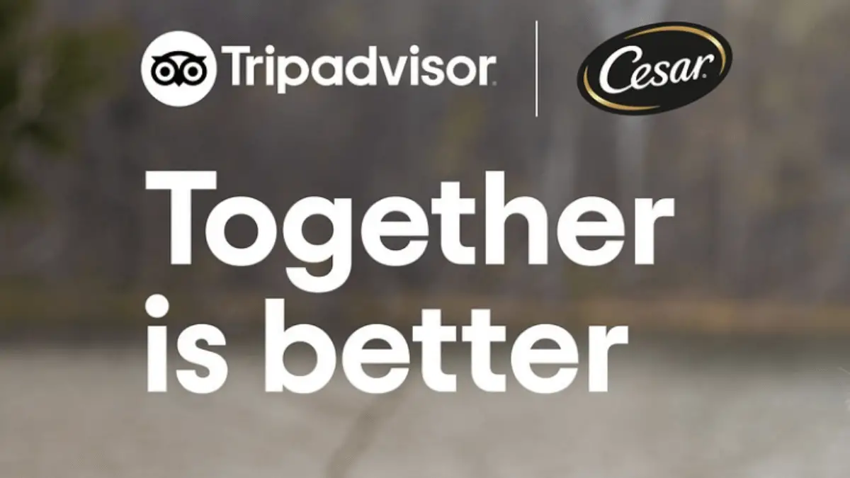 TripAdvisor Cesar Traveler’s Choice Pet-Friendly Hotels Sweepstakes