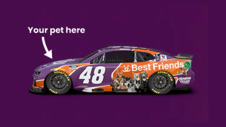 Win a VIP NASCAR Trip from Ally Racing