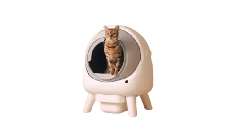 Win a self-cleaning litter box from CatCrazy